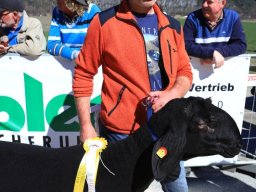 2019_ausstellung polling_386